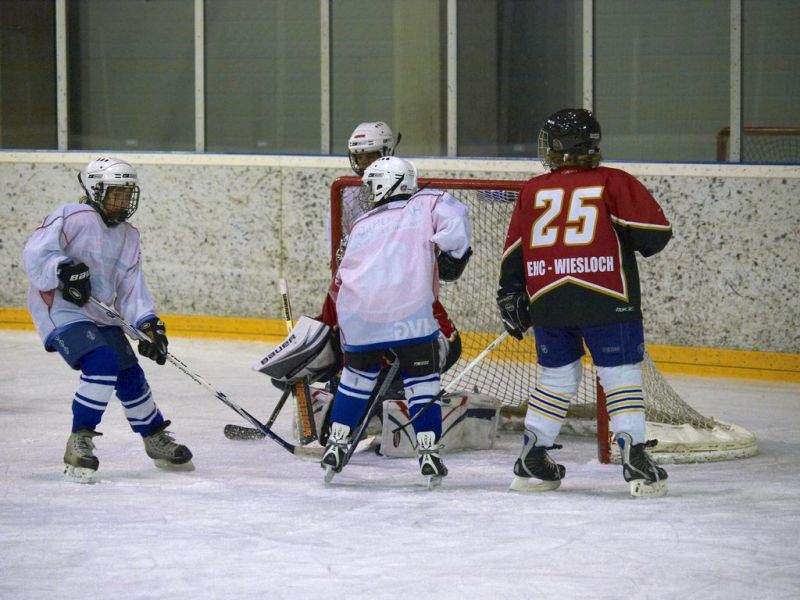 Normal Inhouse 280310 058