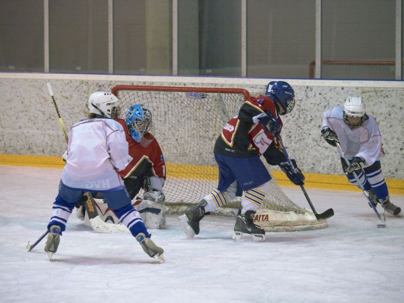 Normal Inhouse 280310 067