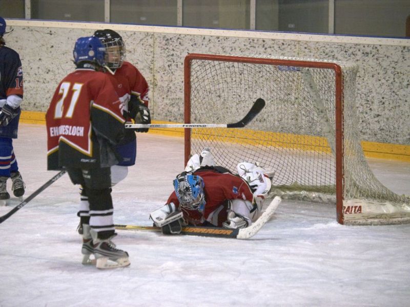 Normal Inhouse 280310 178