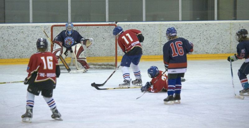 Normal Inhouse 280310 205