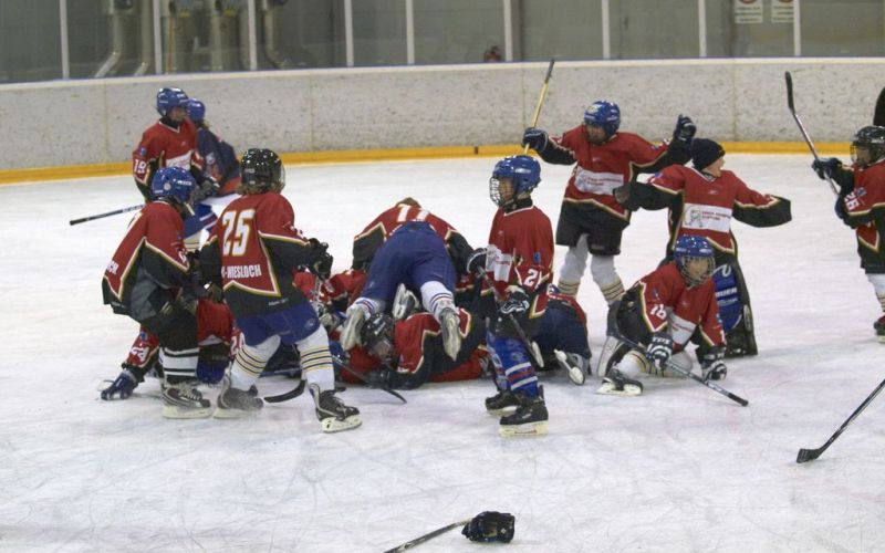 Normal Inhouse 280310 218