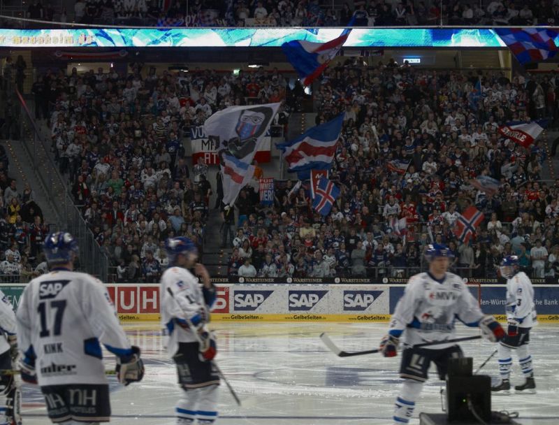 Normal Adler Spalier028