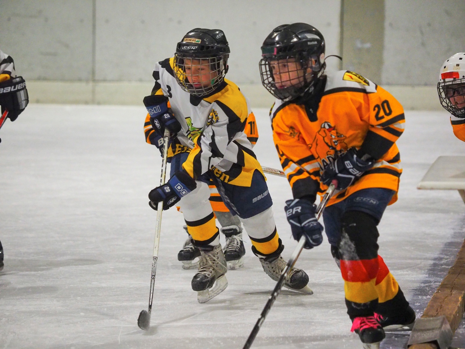 Laufschulturnier 101