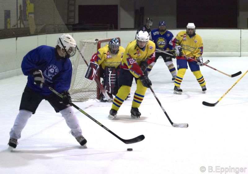 Normal DPL 04 11 08 064