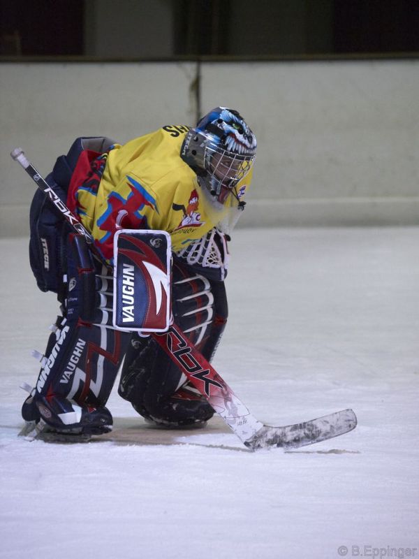 Normal DPL 04 11 08 073