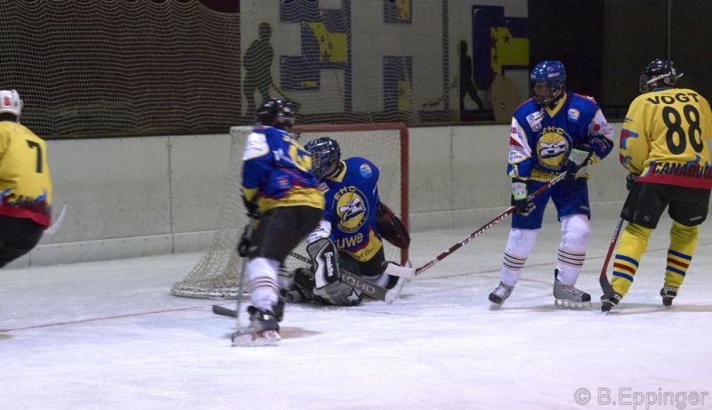 Normal DPL 10 11 08 014