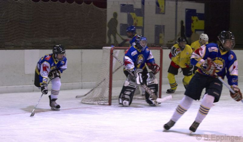 Normal DPL 10 11 08 015