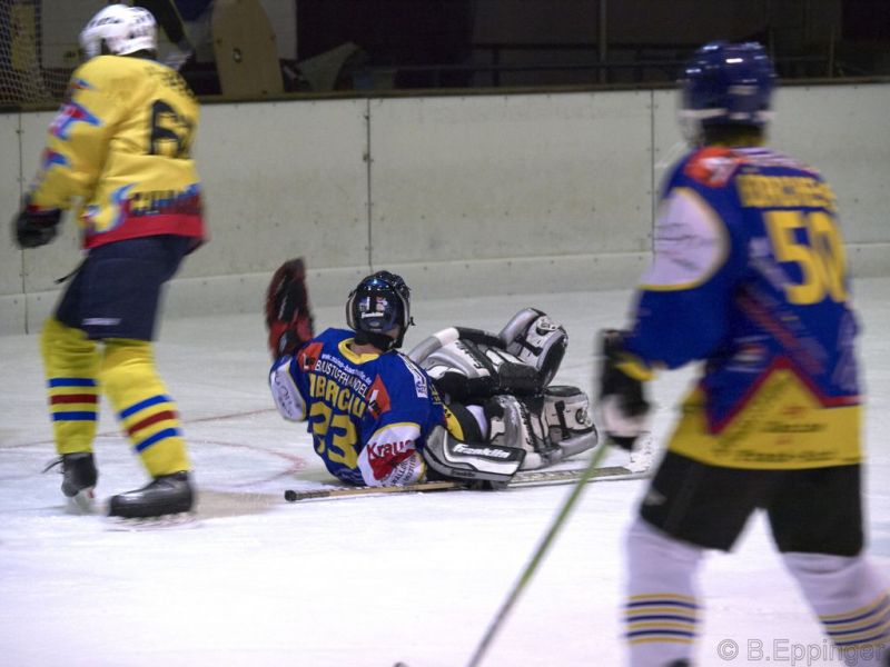 Normal DPL 10 11 08 027