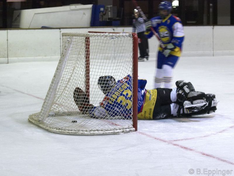 Normal DPL 10 11 08 032