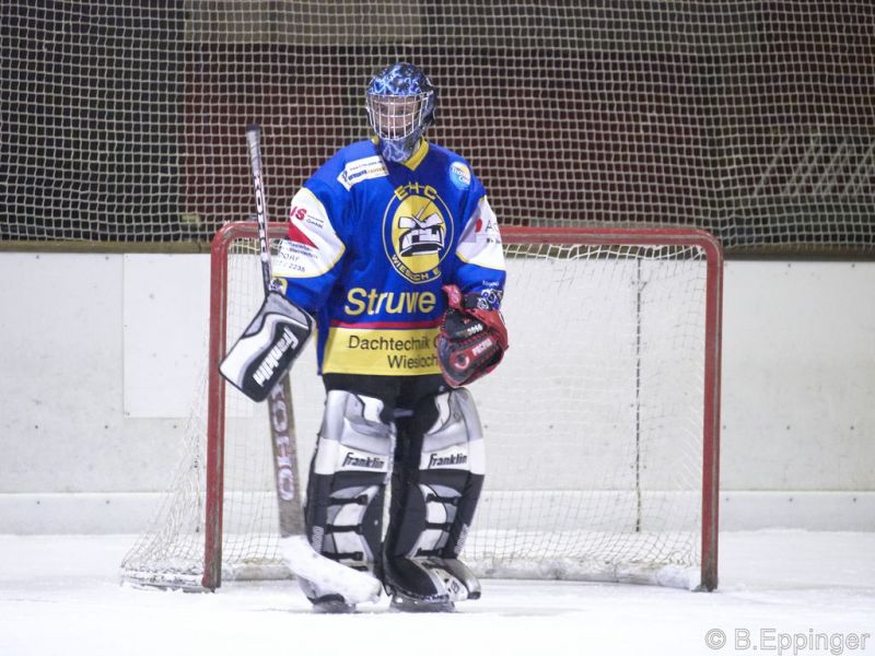 Normal Lightnings1b KMCAdler2008 12 01 20 19 01