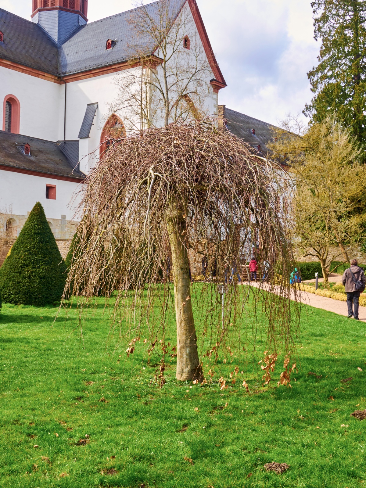 Kloster Eberbach 2016 03 27 36