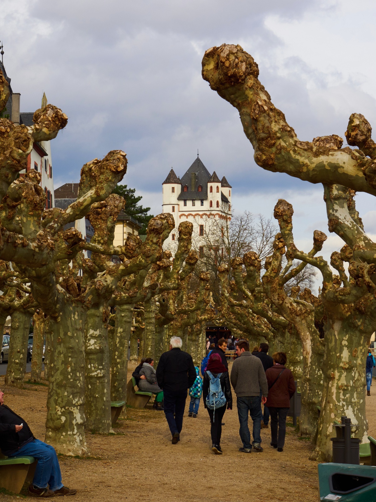 Kloster Eberbach 2016 03 27 39