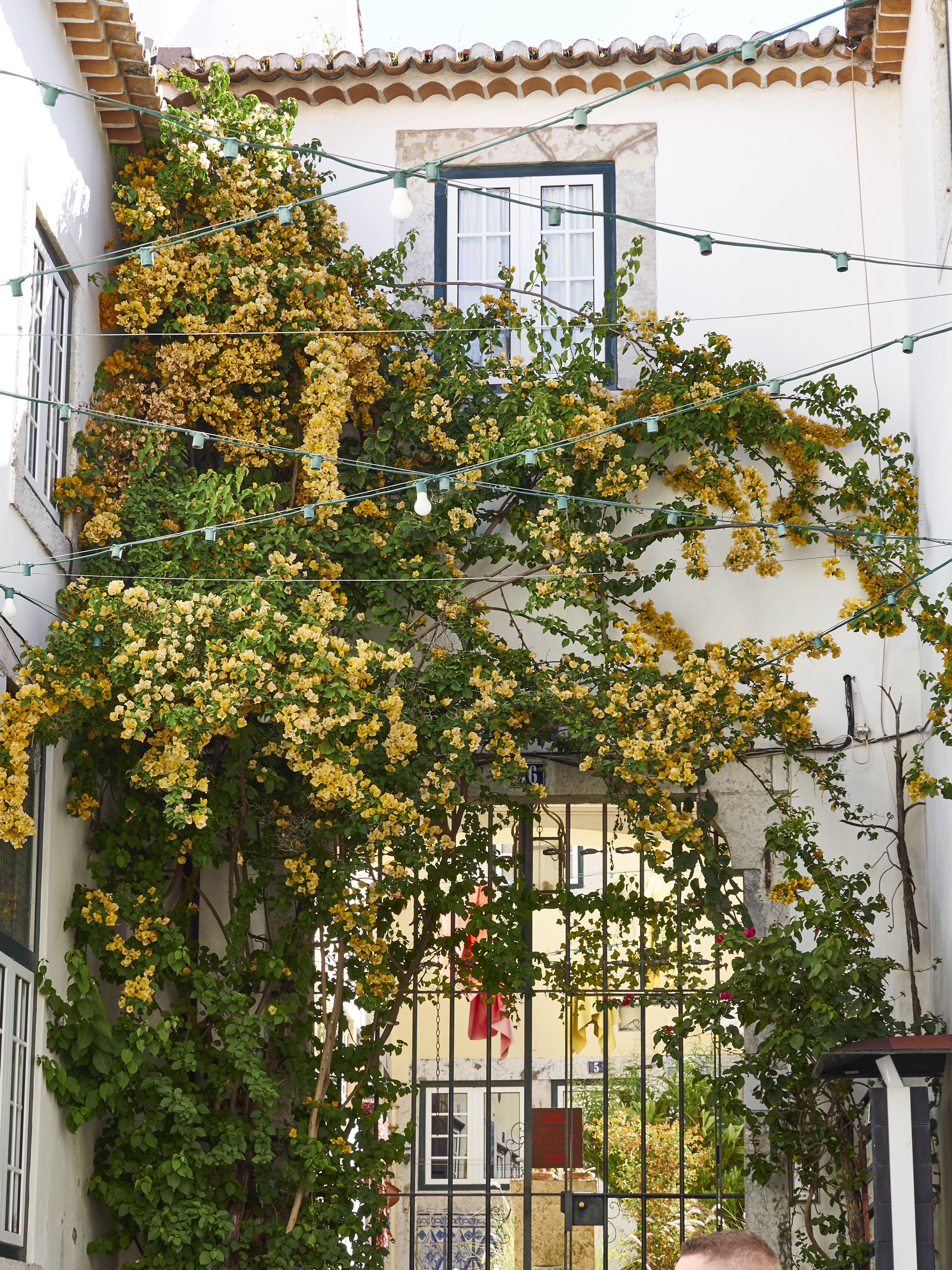 Lissabonn 11 05 19KAM13041