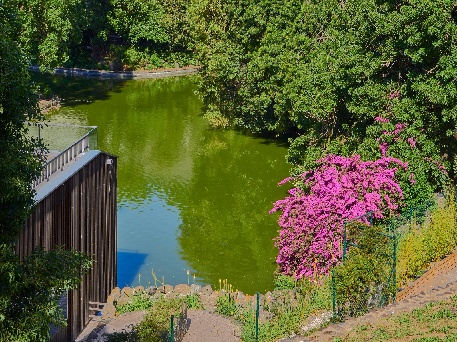 Lissabonn 12 05 19K2121339