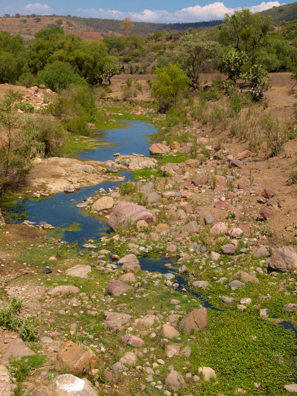 Mexico 2012 20120526 0016