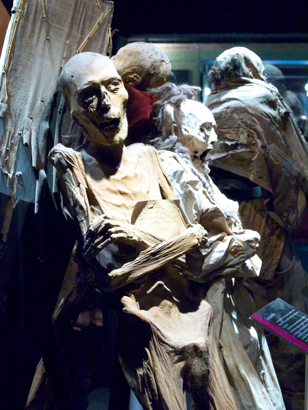 Mexico 2012 20120601 0061 01