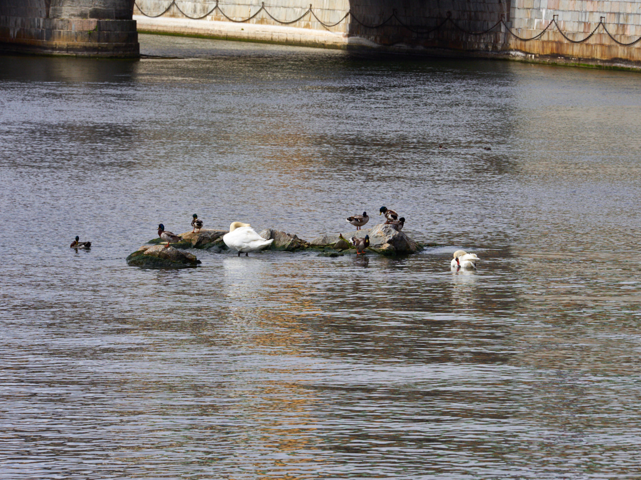 050 Stockholm 14 06 19 99