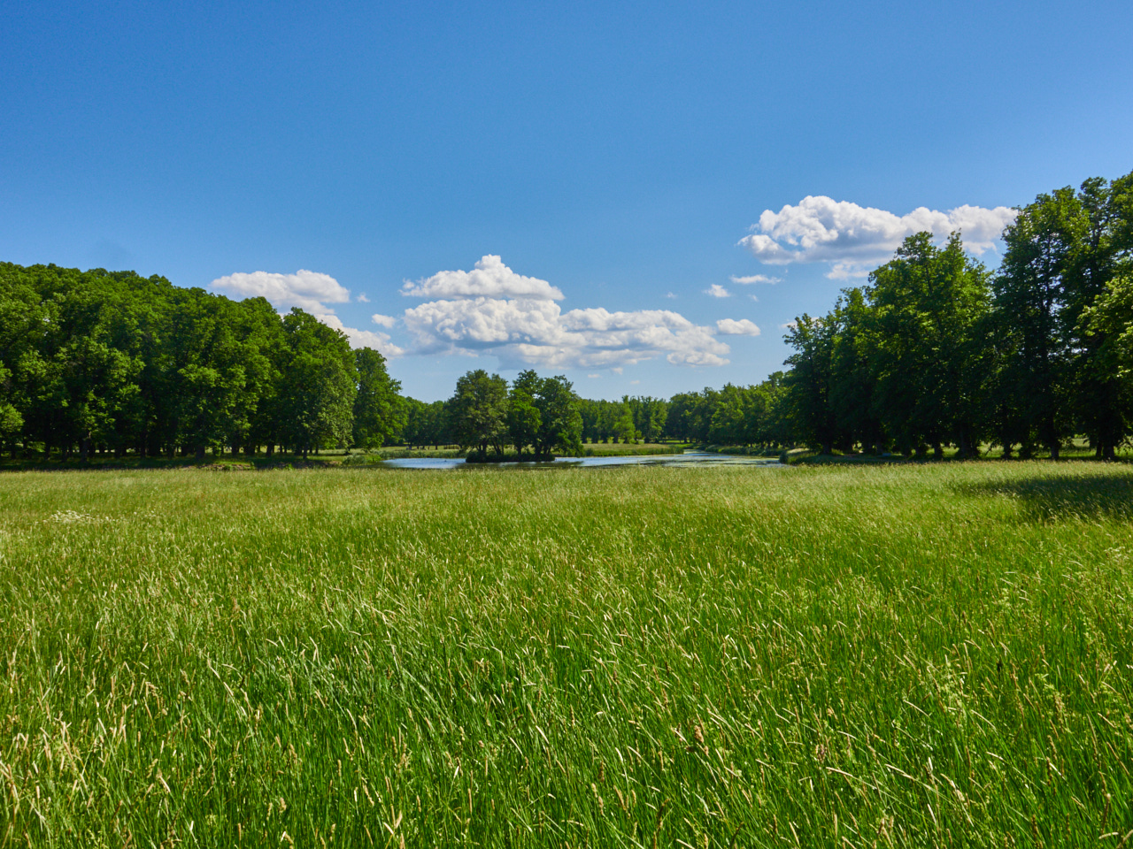 120 Stockholm 15 06 19 56