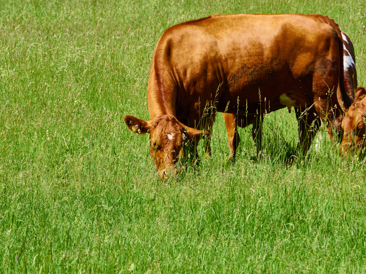 157 Stockholm 15 06 19 150