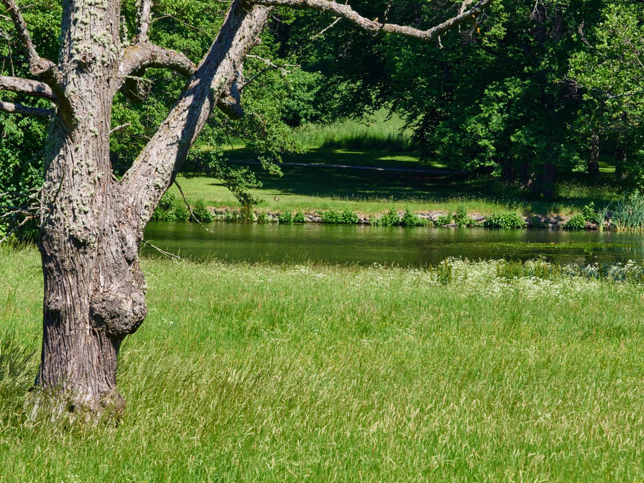 158 Stockholm 15 06 19 152