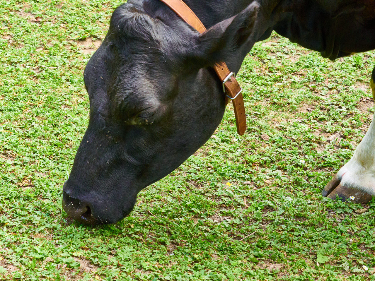 193 Stockholm 16 06 19 39