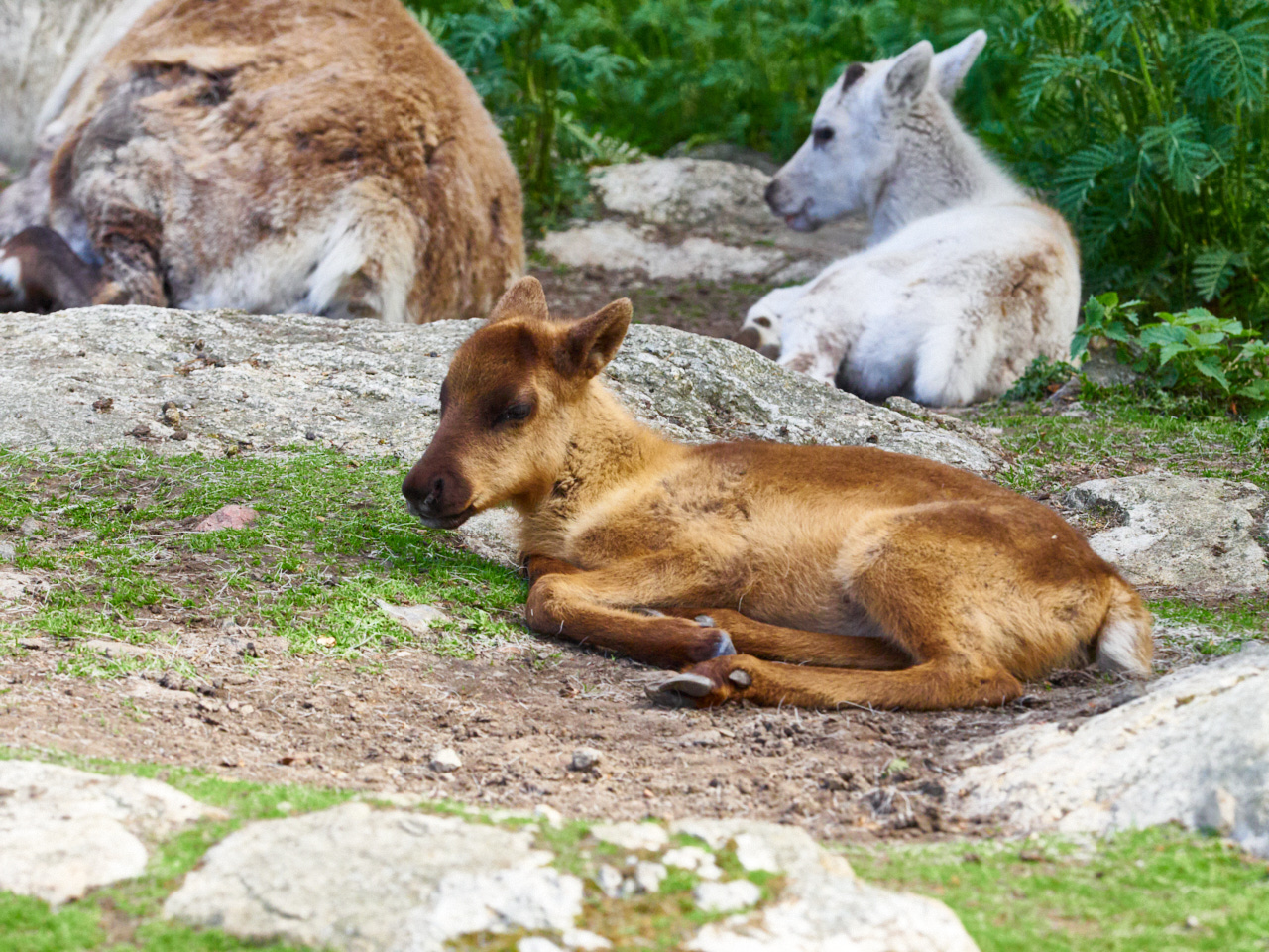 199 Stockholm 16 06 19 50