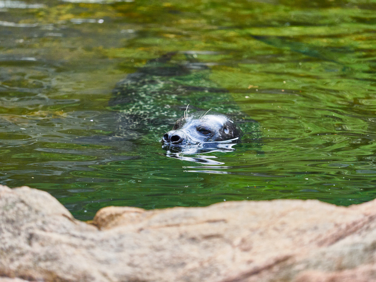 201 Stockholm 16 06 19 57
