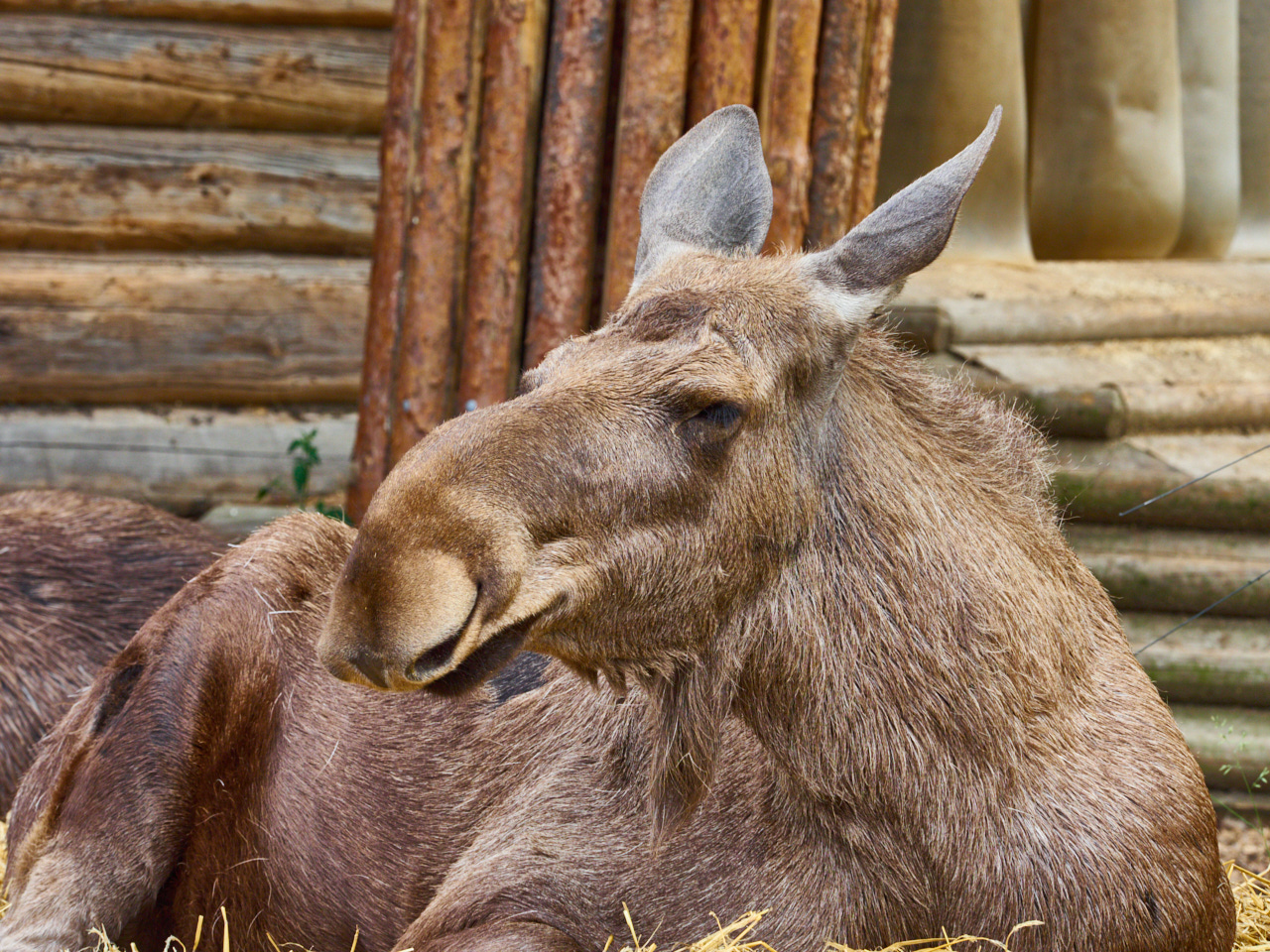 206 Stockholm 16 06 19 82