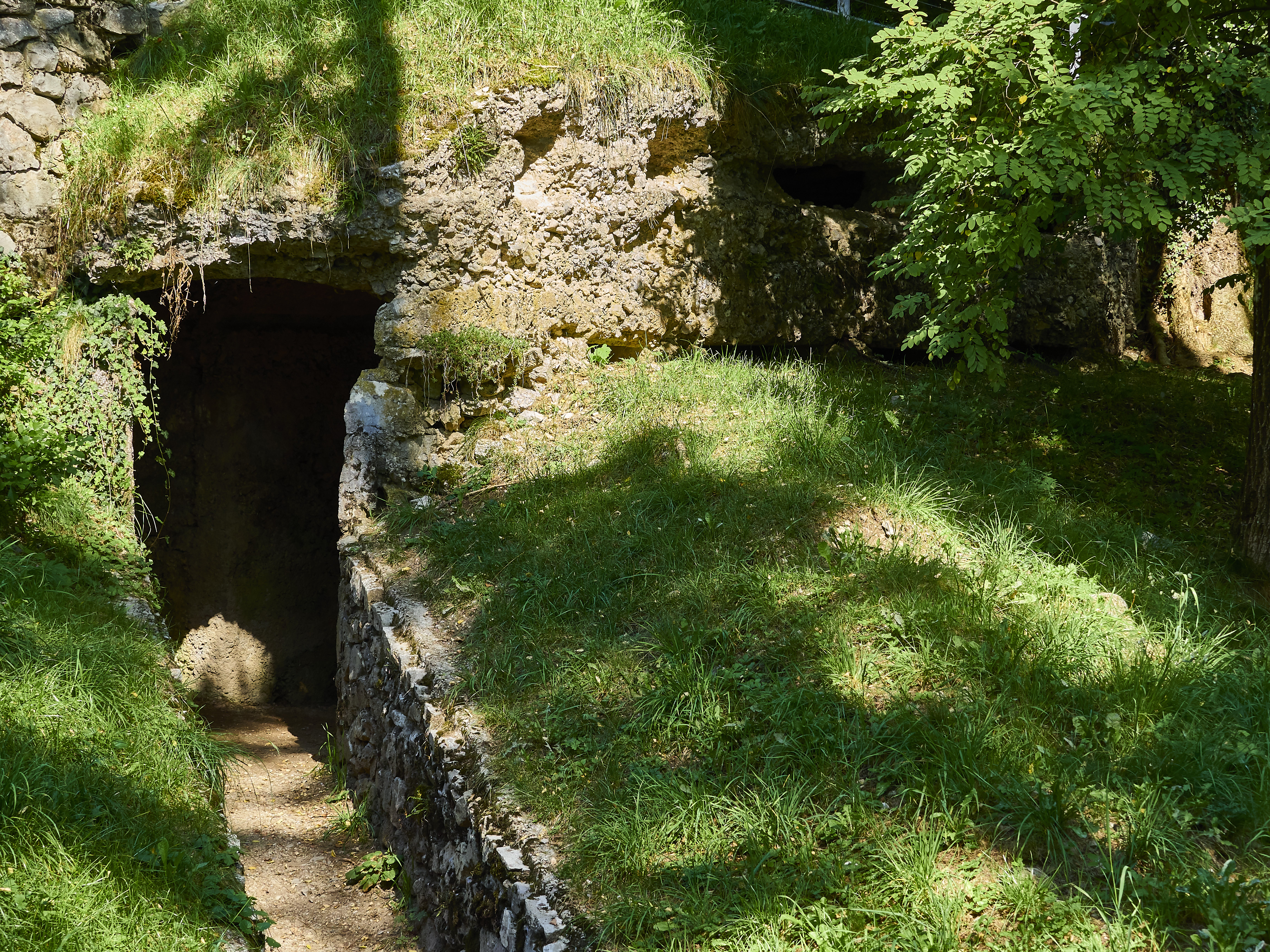 Ledrosee 16 09 19 25