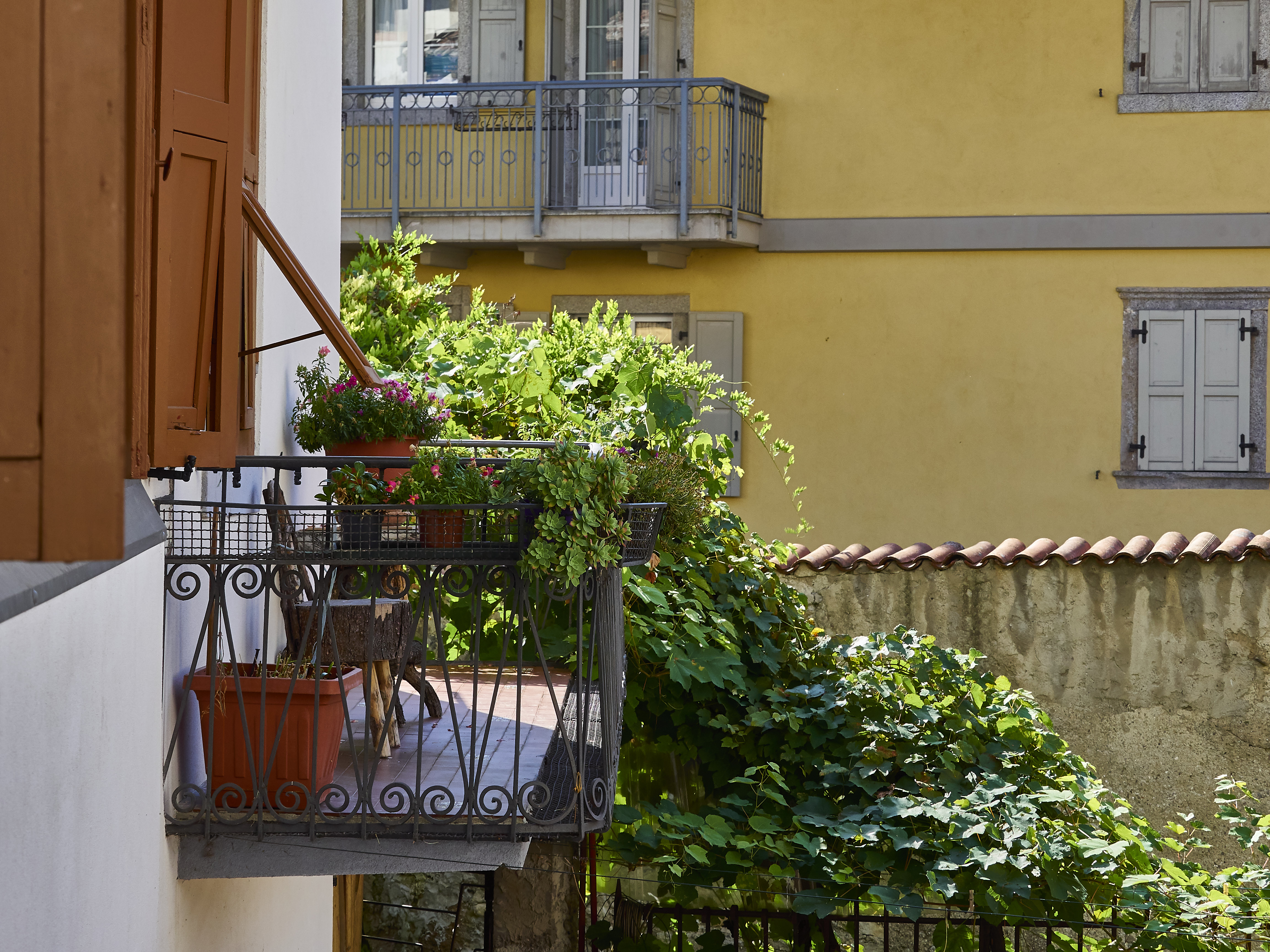 Ledrosee 16 09 19 31