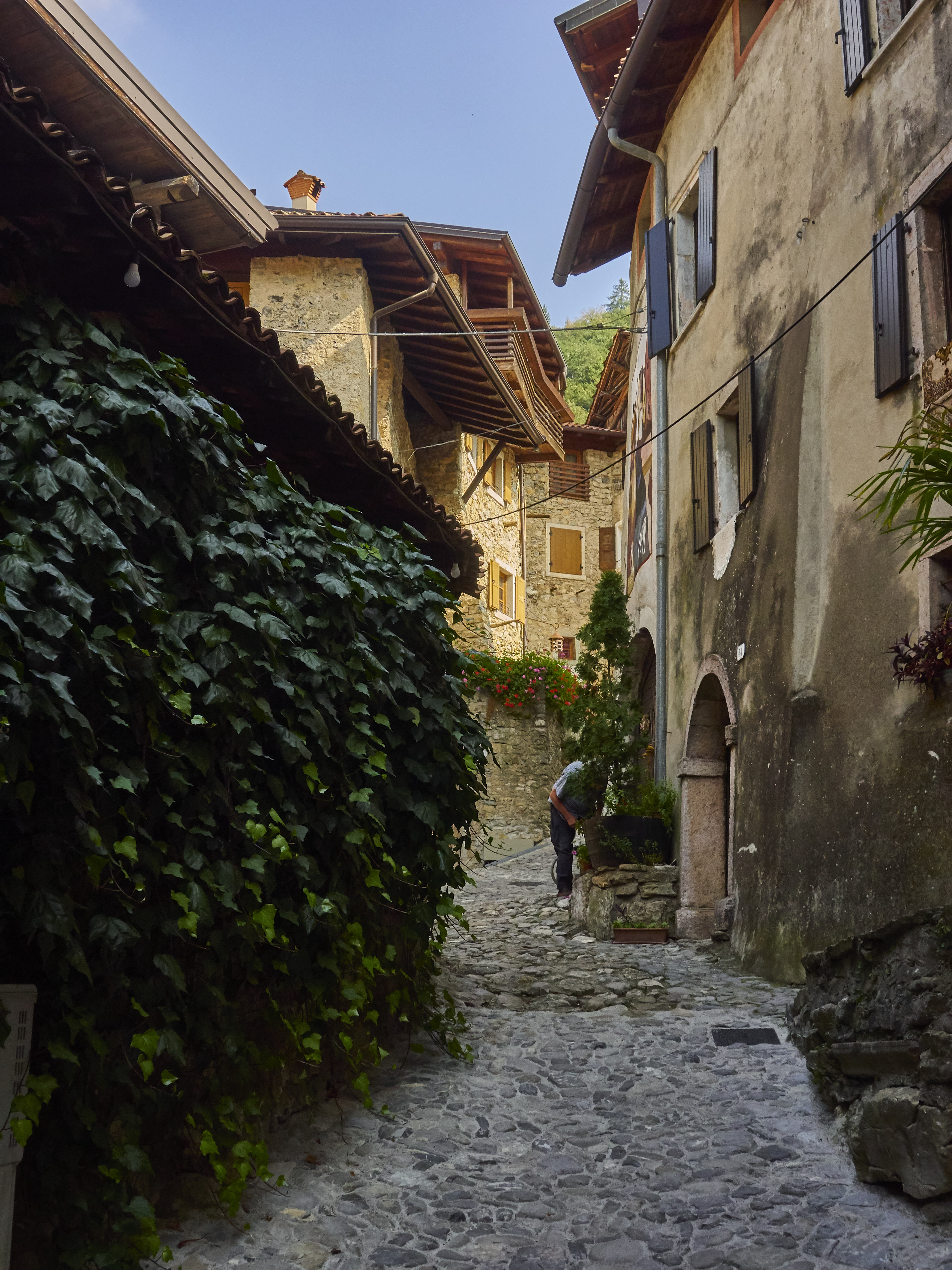 Ledrosee 17 09 19 20