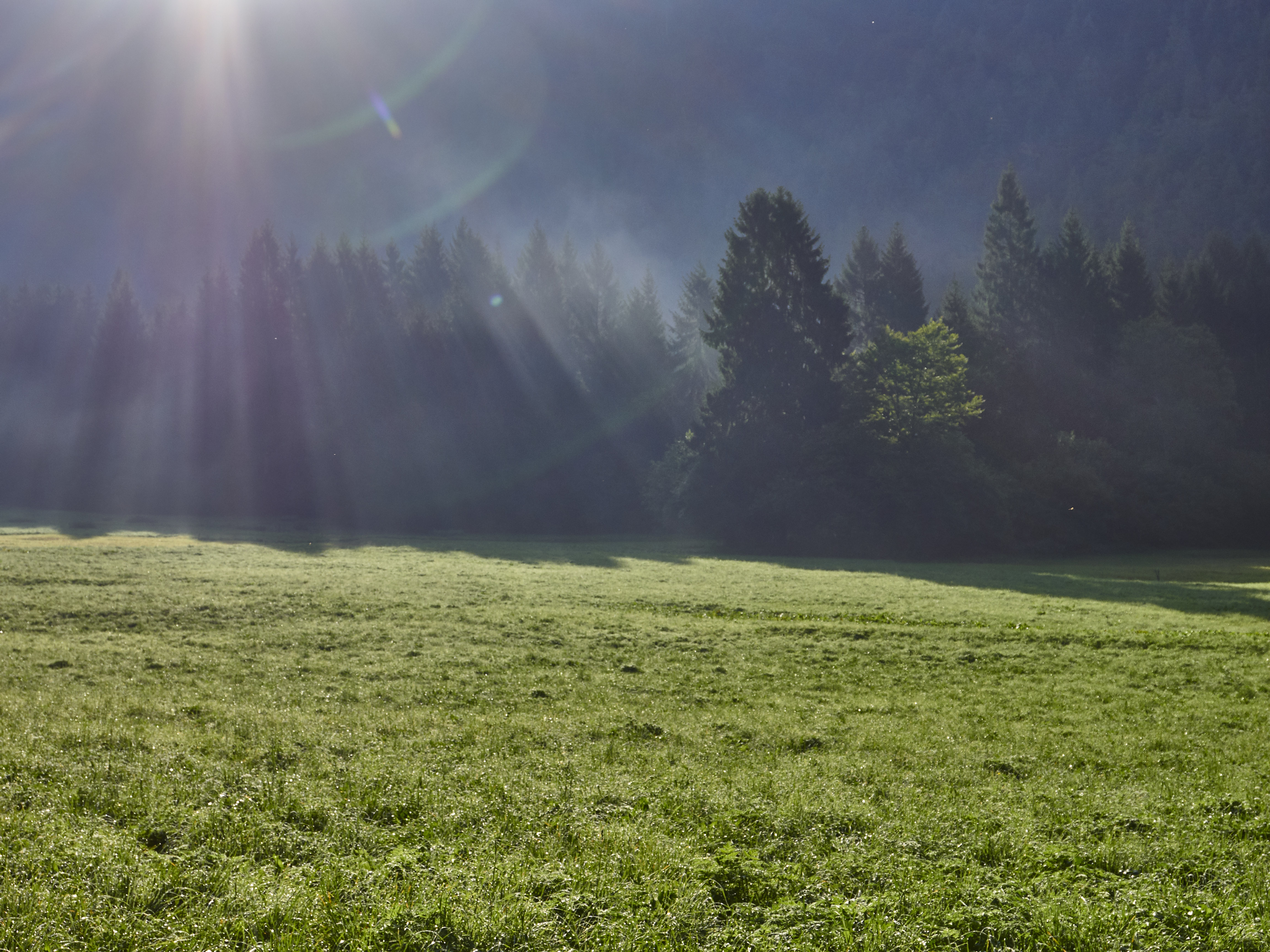 Ledrosee 17 09 19 43