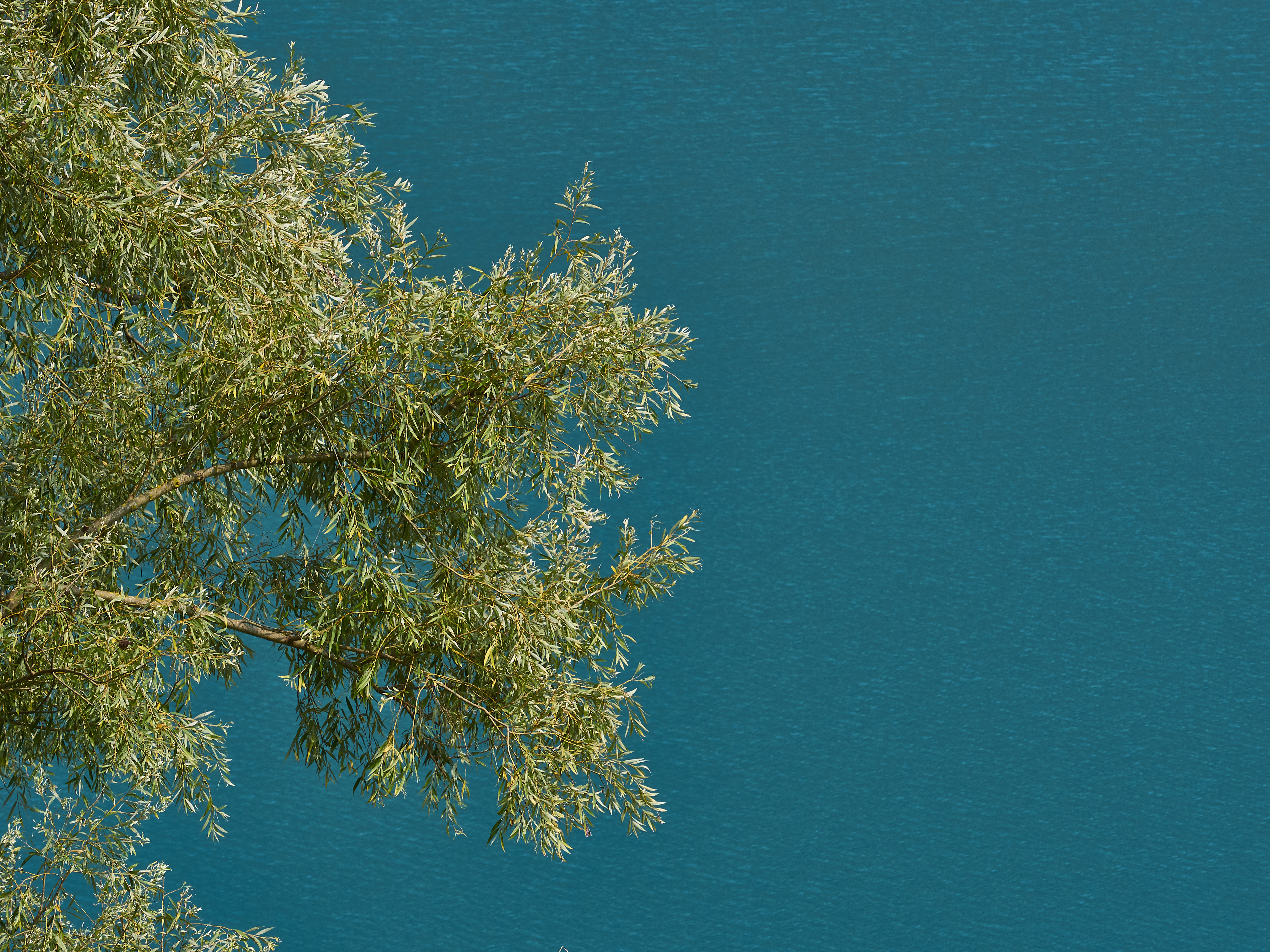 Ledrosee 17 09 19 47