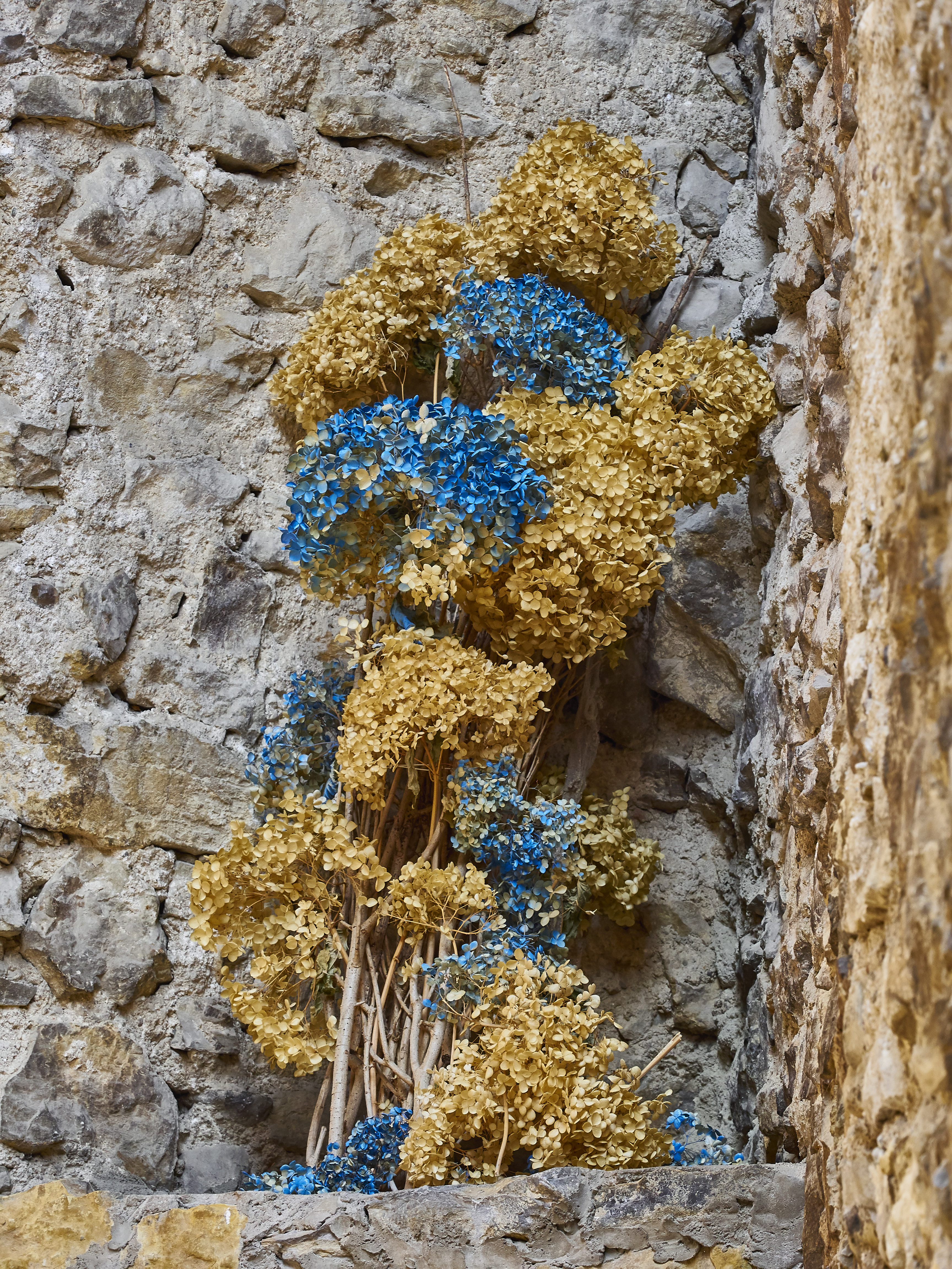 Ledrosee 17 09 19 58