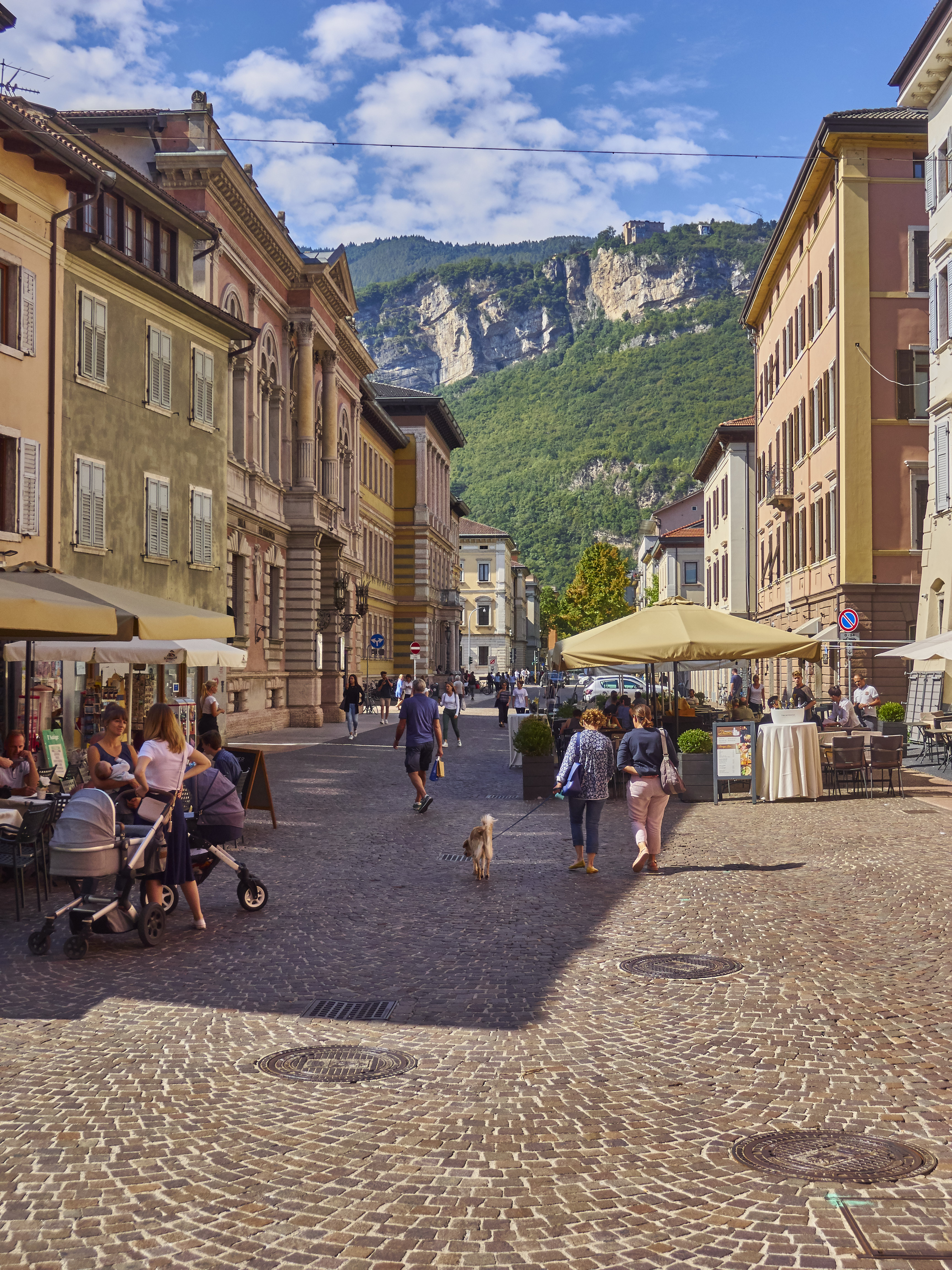 Ledrosee 18 09 19 18