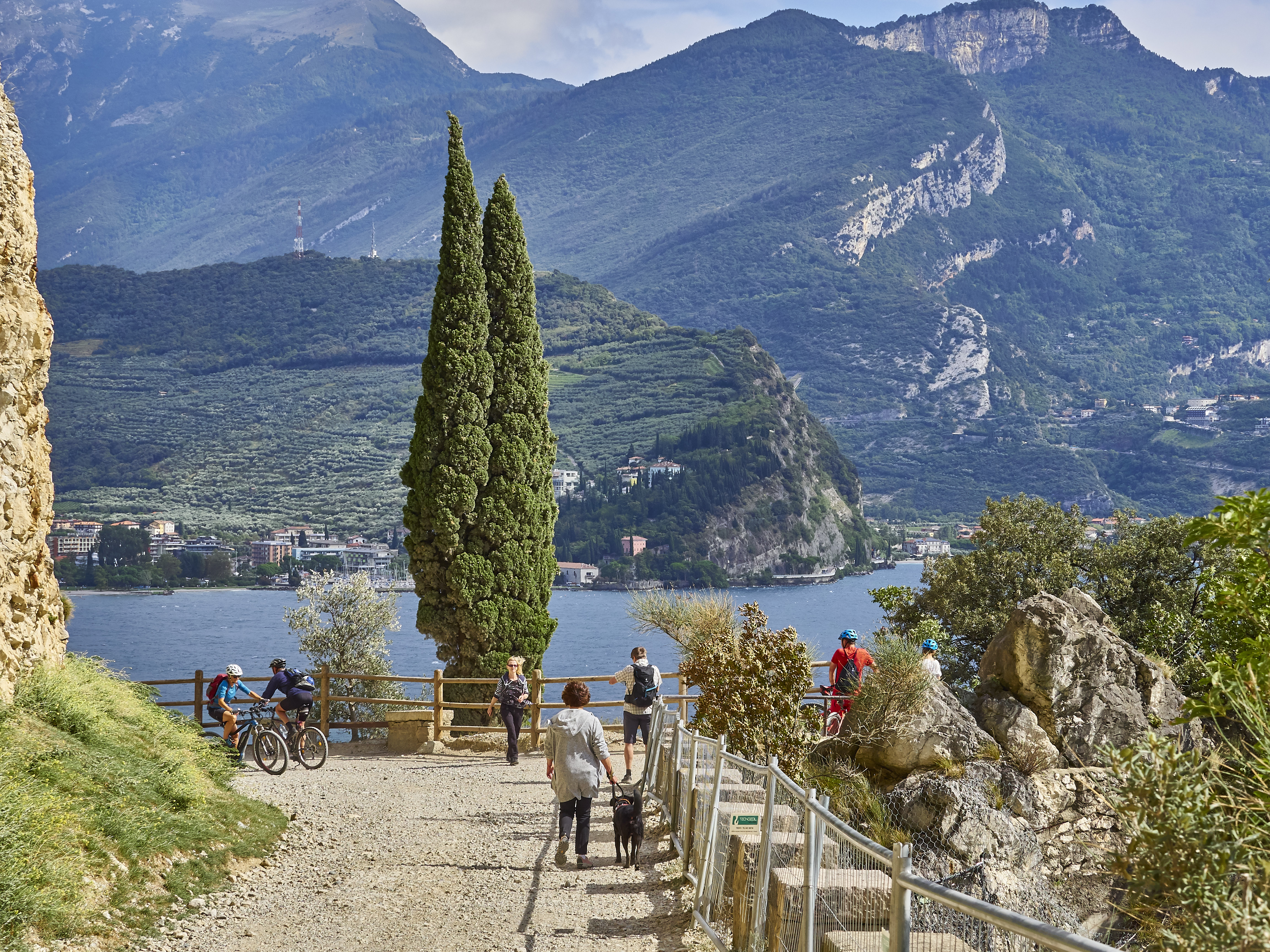 Ledrosee 20 09 19 27