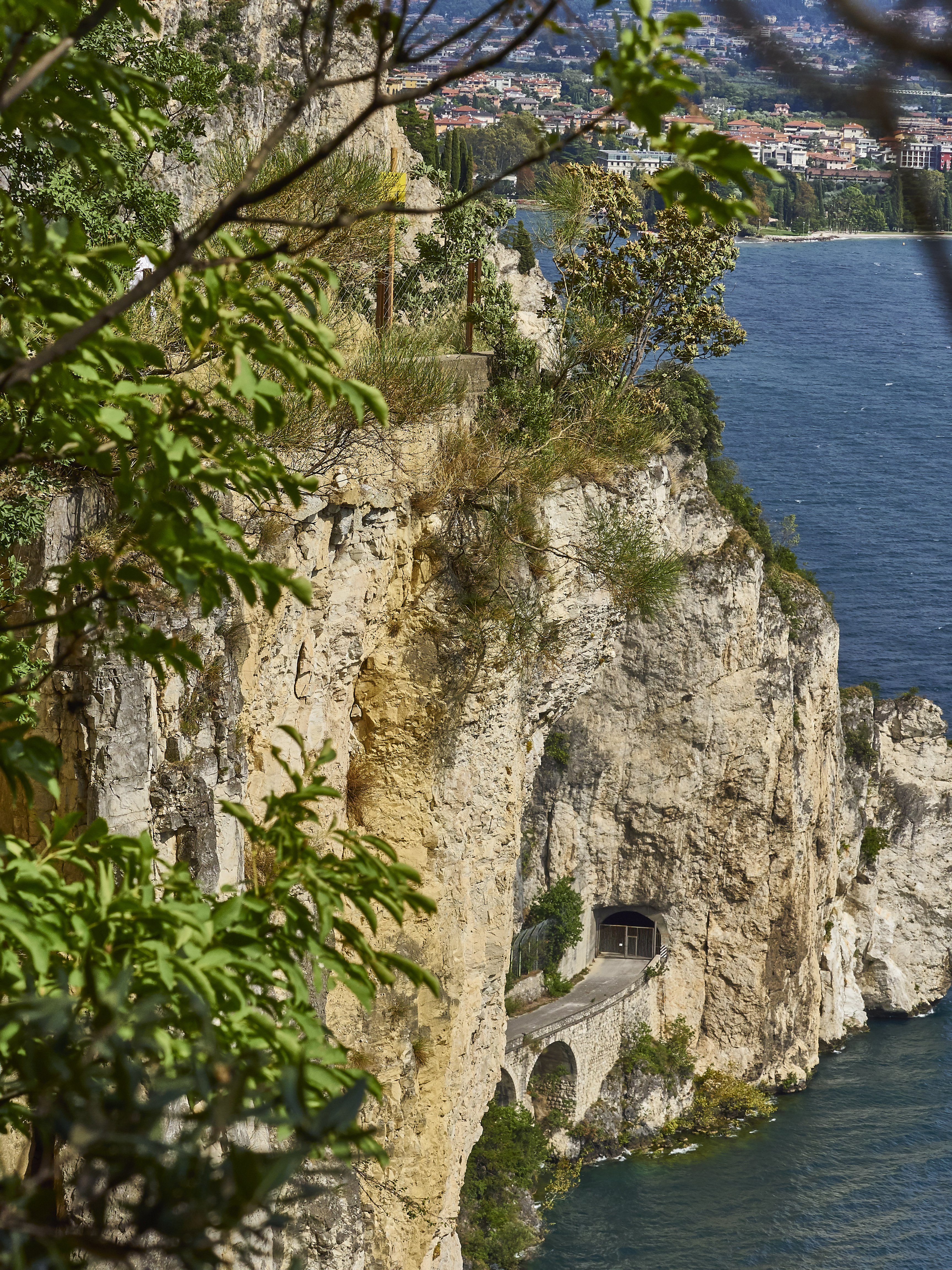 Ledrosee 20 09 19 35