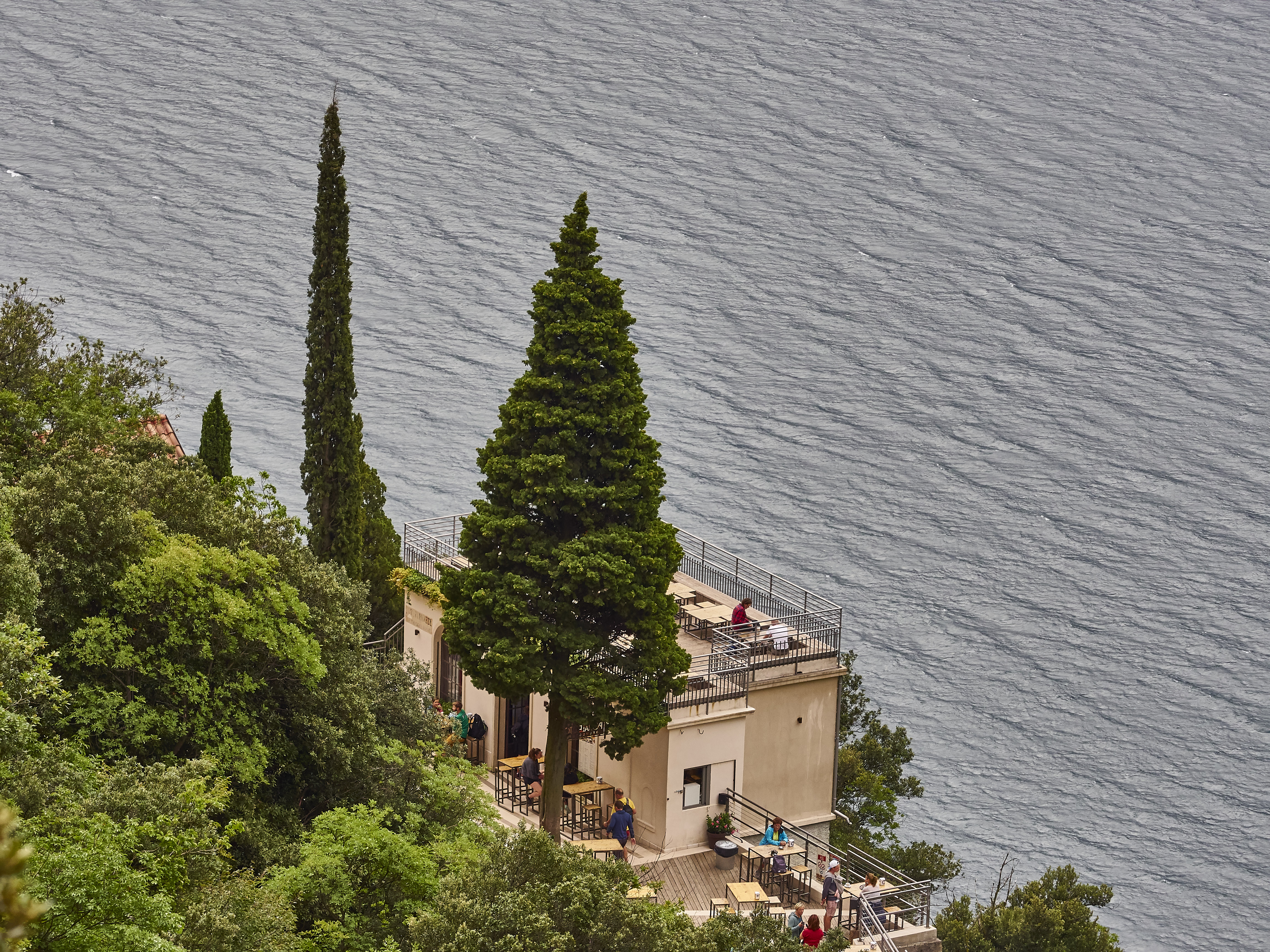 Ledrosee 20 09 19 60