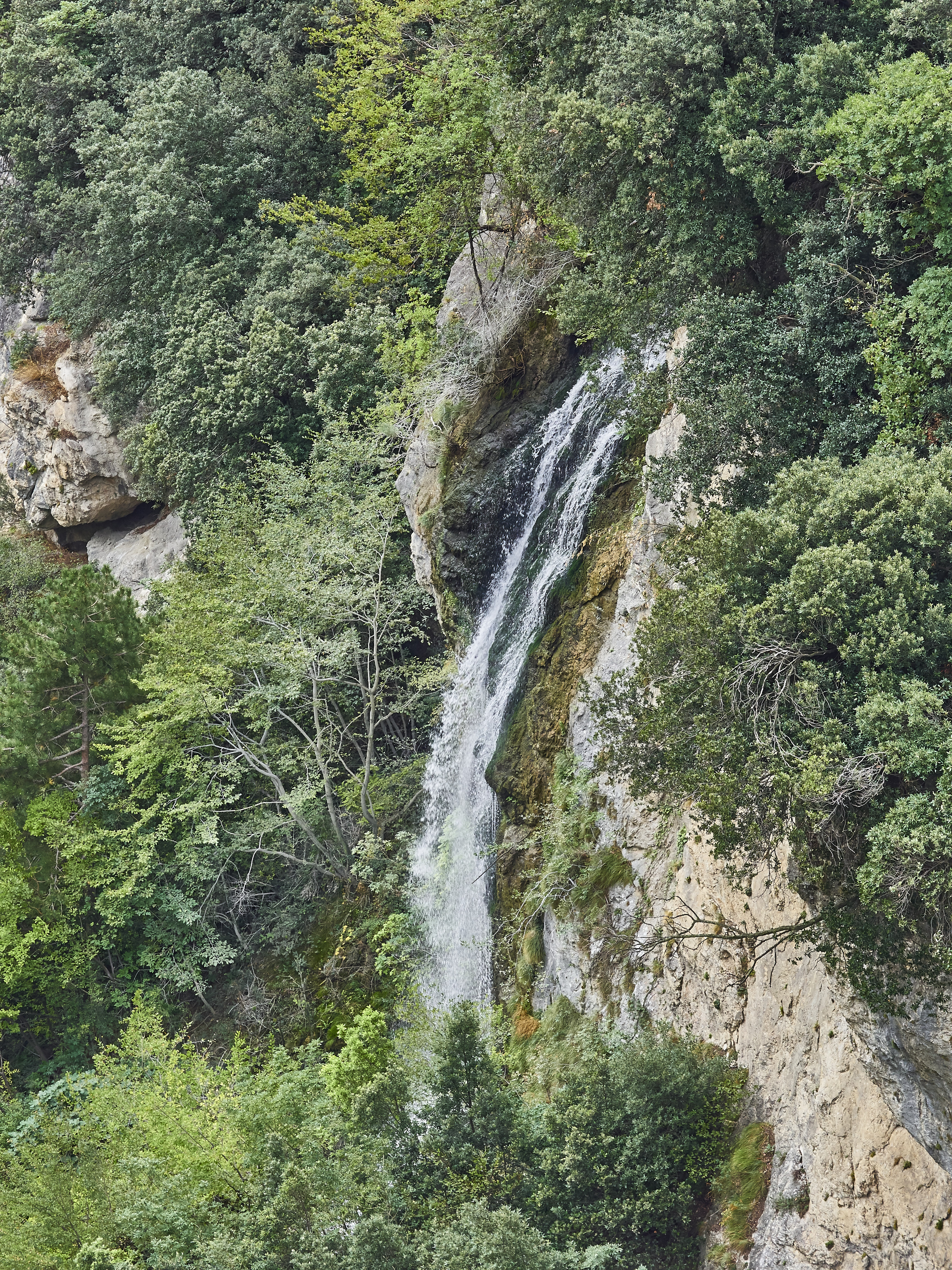 Ledrosee 20 09 19 63