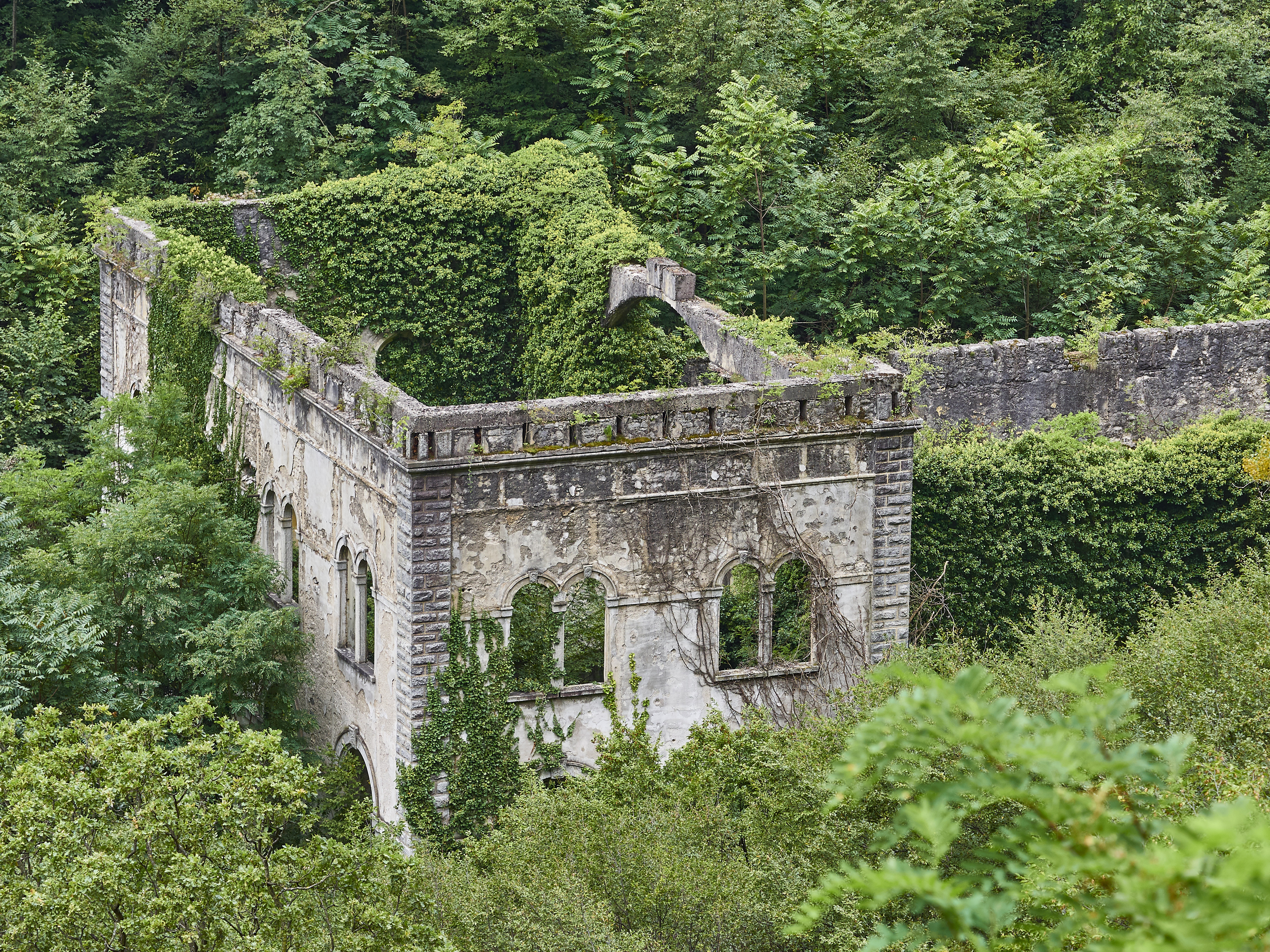 Ledrosee 20 09 19 75