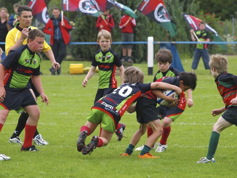 Normal DM2010 2010 06 12 14 38 23