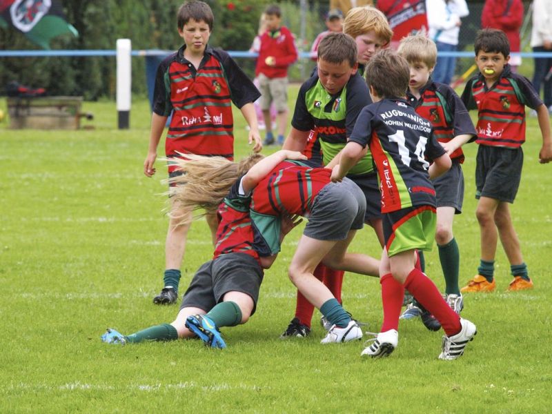 Normal DM2010 2010 06 12 14 48 10