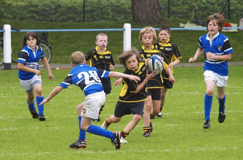 Normal DM2010 2010 06 12 15 03 22