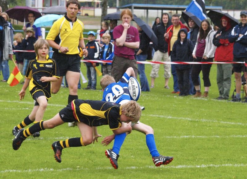 Normal DM2010 2010 06 12 15 06 16