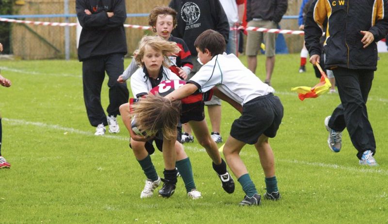 Normal DM2010 2010 06 12 16 19 18 02