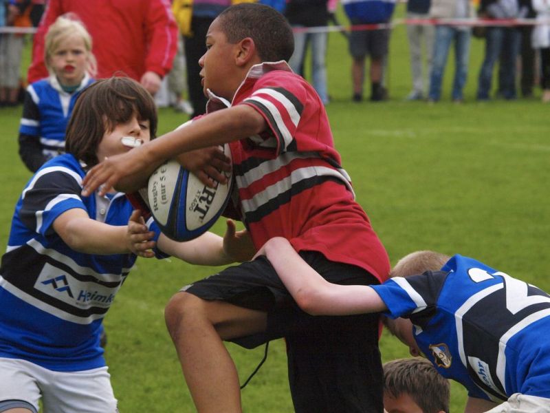 Normal DM2010 2010 06 12 18 46 18