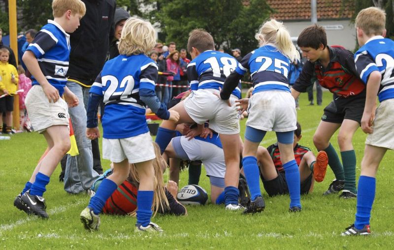 Normal DM2010 2010 06 13 10 43 37