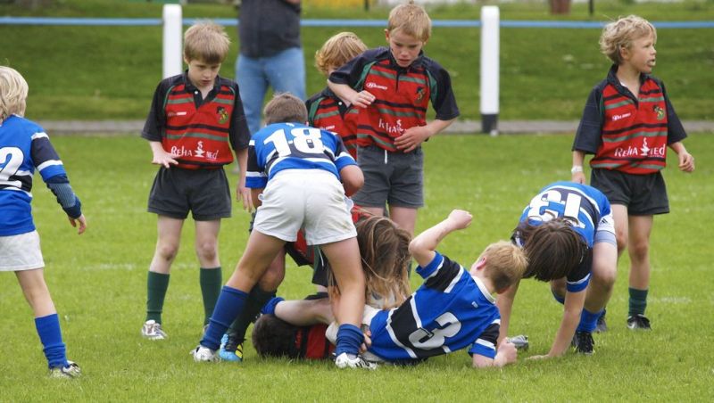 Normal DM2010 2010 06 13 10 44 11