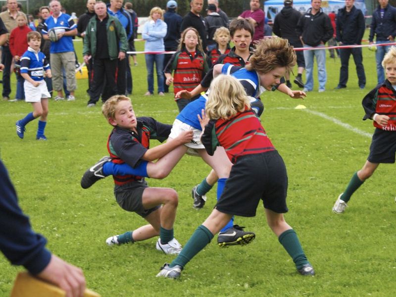 Normal DM2010 2010 06 13 11 00 24