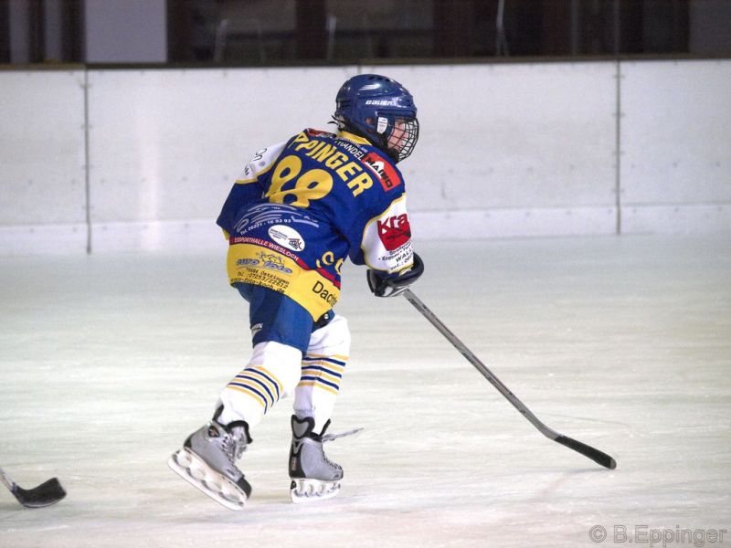 Normal BNL 2008 11 22 09 06 08